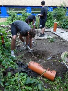 Gewächshaus: Es wird gebaut