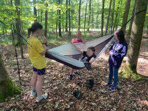 Trekking: Überleben im Wald