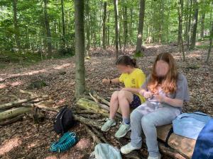 Trekking: Überleben im Wald